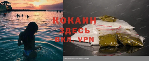 прущие грибы Покровск