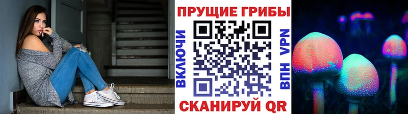 Псилоцибиновые грибы Psilocybine cubensis  Нязепетровск 